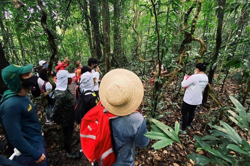 Leia mais sobre o artigo Parque do Utinga recebe primeiros participantes da Grande BioBlitz do Hemisfério Sul 2021
