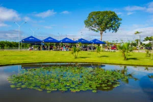 Leia mais sobre o artigo Confira o funcionamento do Parque do Utinga, Estação das Docas e Mangal neste Recírio