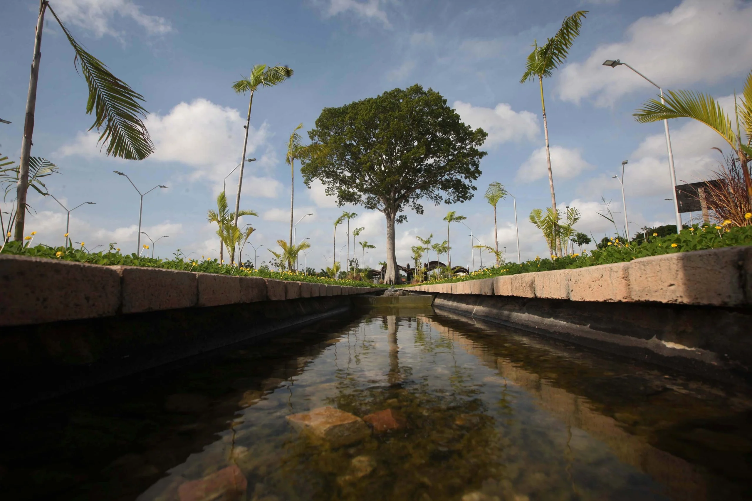 Representantes das 15 Cidades Criativas da Organização das Nações Unidas para a Educação, a Ciência e a Cultura (Unesco) e 12 chefs de cozinha de diversas partes do mundo conheceram na manhã deste sábado (11) o novo Parque Estadual do Utinga. A biodiversidade do espaço, que passou por grande reforma, foi apresentada aos visitantes, que viram detalhes, também, sobre o projeto do Centro Global de Gastronomia da Amazônia, que vai promover o conhecimento sobre os sabores e ingredientes da região em um grande complexo reunindo museu, universidade e espaço de experimentação.FOTO: THIAGO GOMES / AG. PARÁ
DATA: 11.11.2017
BELÉM - PARÁ