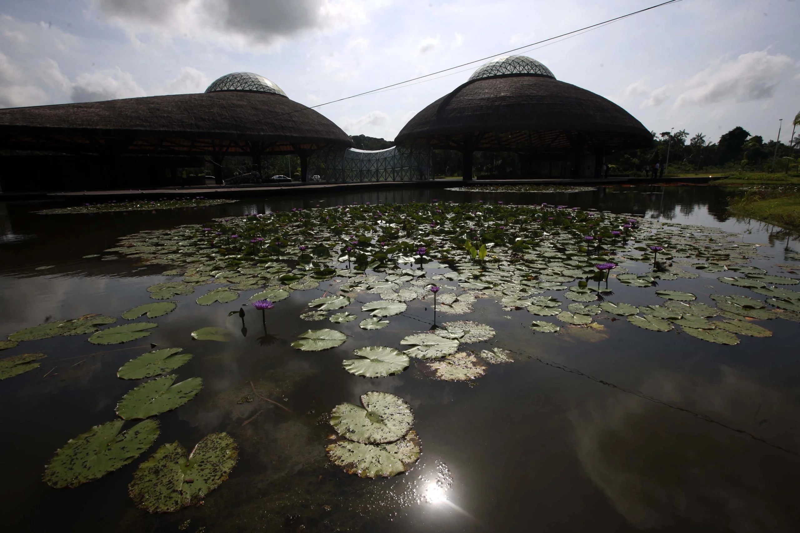 Representantes das 15 Cidades Criativas da Organização das Nações Unidas para a Educação, a Ciência e a Cultura (Unesco) e 12 chefs de cozinha de diversas partes do mundo conheceram na manhã deste sábado (11) o novo Parque Estadual do Utinga. A biodiversidade do espaço, que passou por grande reforma, foi apresentada aos visitantes, que viram detalhes, também, sobre o projeto do Centro Global de Gastronomia da Amazônia, que vai promover o conhecimento sobre os sabores e ingredientes da região em um grande complexo reunindo museu, universidade e espaço de experimentação.FOTO: THIAGO GOMES / AG. PARÁ
DATA: 11.11.2017
BELÉM - PARÁ