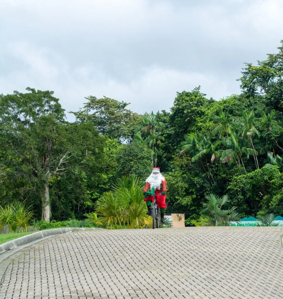 Leia mais sobre o artigo Parque do Utinga terá programação natalina gratuita no sábado