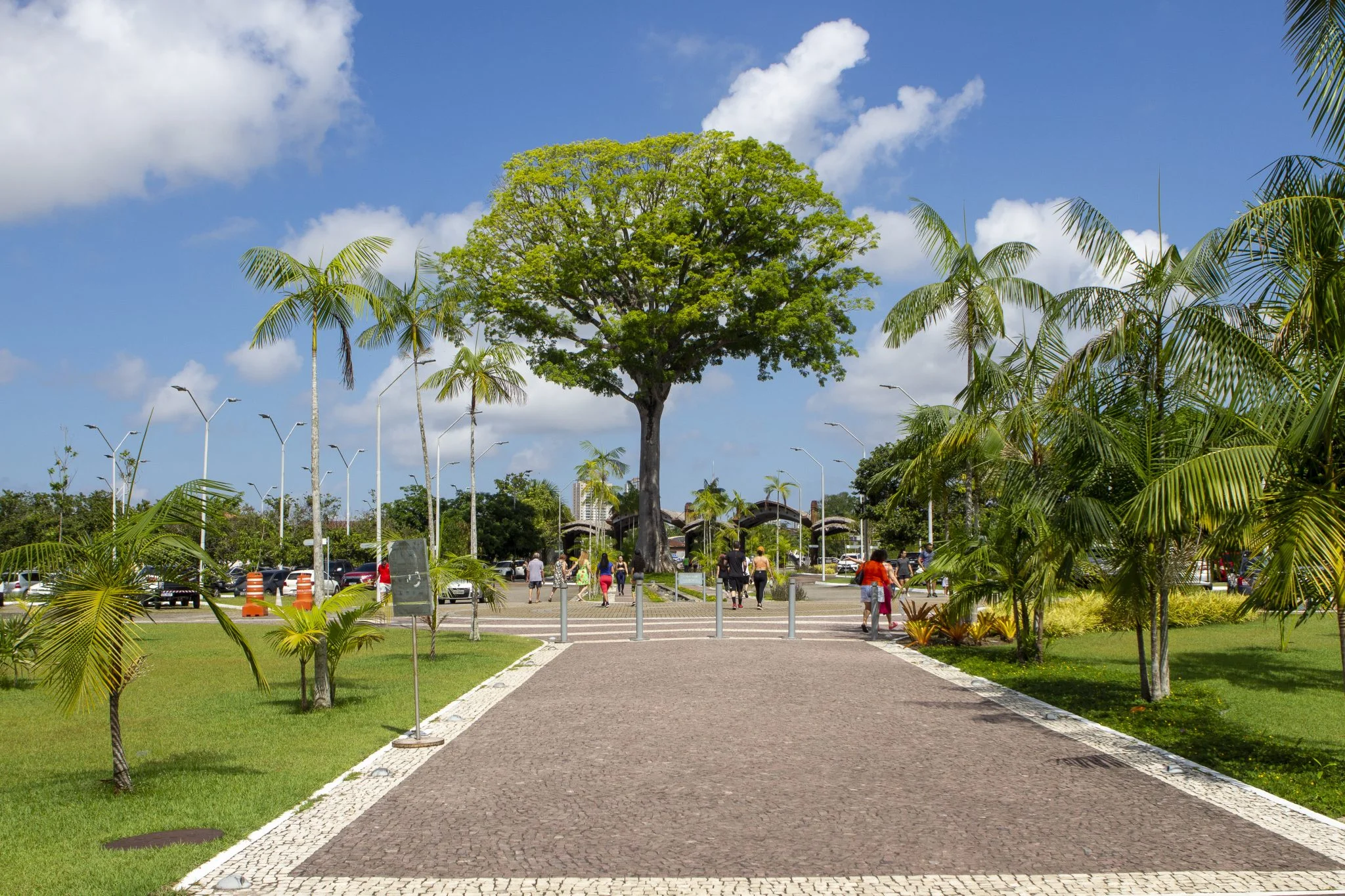 Parque Estadual do Utinga bate novo recorde de público com mais de 9 mil visitantes em um único dia