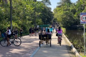 Leia mais sobre o artigo ‘Amigos do Utinga’: novo projeto de voluntariado será lançado neste sábado no Parque Estadual
