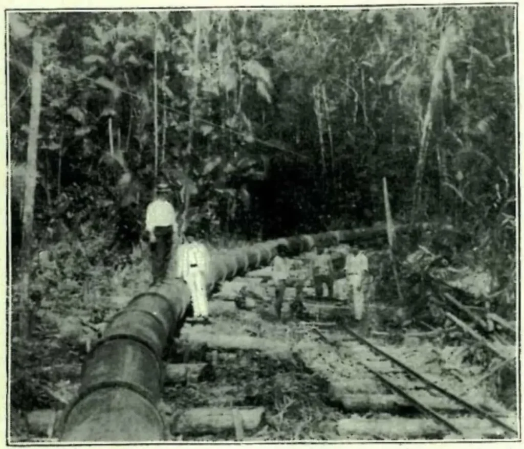 Leia mais sobre o artigo Parque Estadual do Utinga revela capítulo oculto da história ferroviária da Amazônia