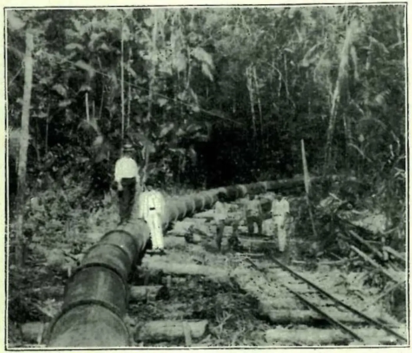 Parque Estadual do Utinga revela capítulo oculto da história ferroviária da Amazônia