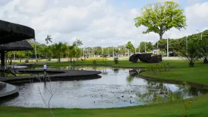 Leia mais sobre o artigo Parque Estadual do Utinga recebe mais de 10 mil visitantes em apenas um dia